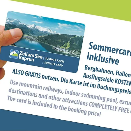 Panoramablick Zell Am Zell am See