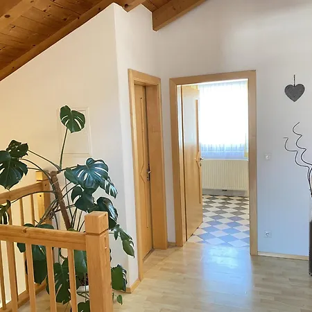 Panoramablick Zell Am Zell am See